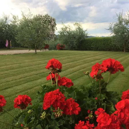 Apartamento La Casina Del Poggio Ponticino